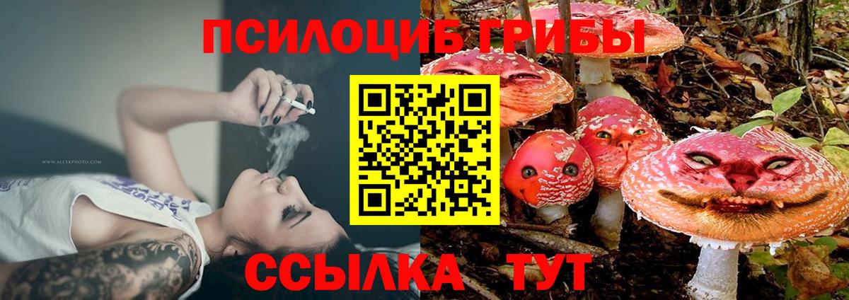 Галлюциногенные грибы мицелий Лабинск