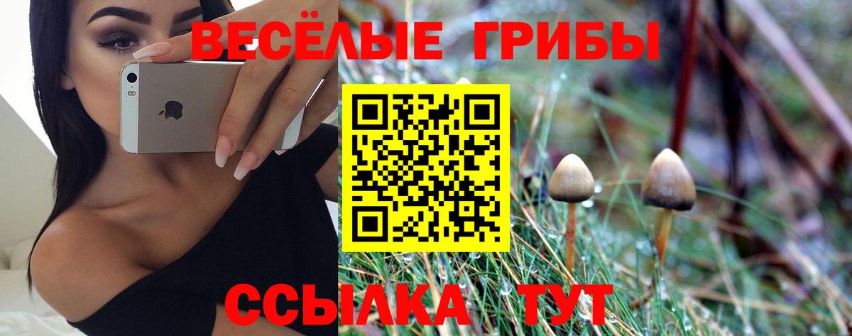 Лабинск  Псилоцибиновые грибы мицелий  Вход с VPN 